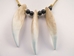 Realistic Bear Tooth Necklace: 3-Tooth - 560-203 (C2)