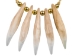 Realistic Bear Tooth Necklace: 5-Tooth - 560-205-AS (Y2KC02)