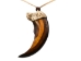 Realistic Grizzly Bear Claw Necklace: 1-Claw - 560-401 (Y2KC04)