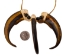 Realistic Grizzly Bear Claw Necklace: 3-Claw - 560-403 (Y2KC10)