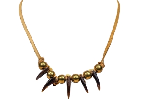 Real 5-Claw Coyote Necklace 