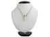 Real 1-Tooth Coyote Necklace - 560-901 (Y1EC03)