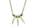 Real 3-Tooth Coyote Necklace - 560-903 (Y2HC16)