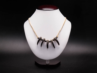 Real Black Bear 5-Claw Necklace 
