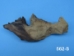 Assorted Driftwood (lb) - 562-S-AS (Y3G-A1)