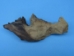 Assorted Driftwood (lb) - 562-S-AS (Y3G-A1)