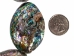 Paua Shell Strand - 565-BPS (Y1XC04)