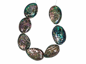 Paua Shell Bead Strand (1.5-2" long by 1-1.5" wide beads) 