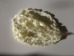 Trochus Beads - 565-BTF (Y1MC17)