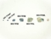 Paua Shell Pieces: Satin: Large (lb) - 565-TPSL-AS