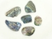 Paua Shell Pieces: Satin: Large (lb) - 565-TPSL-AS
