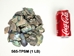 Paua Shell Pieces: Satin: Large (lb) - 565-TPSL-AS