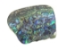 Paua Shell Pieces: Satin: Large (lb) - 565-TPSL-AS