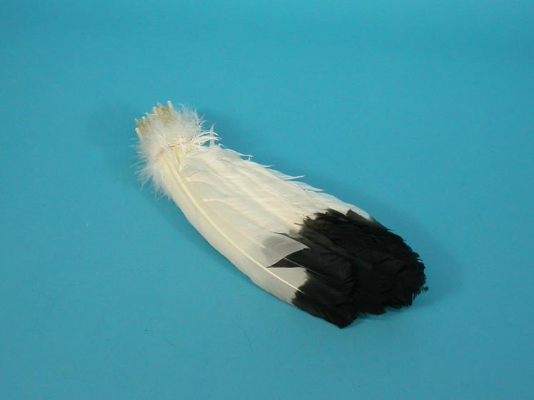 Imitation Eagle Feather: 10-12" 