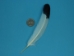Imitation Eagle Feather: 4-7" - 571-02S (Y1LC03)