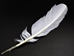 White Turkey Plumage Feather - 571-03 (B3)