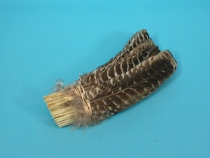 Bronze Barred Turkey Feather 