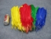 Dyed Mixed Colors Turkey Feather (lb) - 571-06 (Y2ORK)