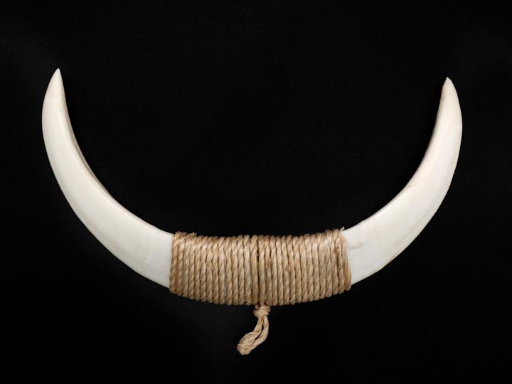 Boar Tusk Mens Necklace | AlohaOutlet
