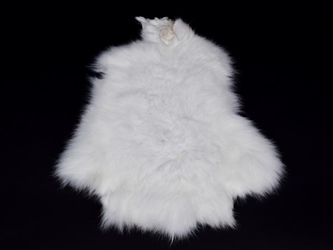 Arctic Snowshoe Hare Skin 