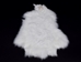 Arctic Snowshoe Hare Skin - 585-SNOW1 (Y2F)(Y3K)