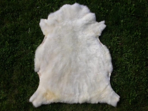 Short Hair Hungarian Merino Lambskin: Assorted 