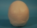 Replica Human Skull: Standard - 594-10-A20 (Y2P)