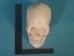 Replica Human Skull: Budget - 594-10-A20B (Y2PRB)