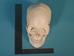 Replica Human Skull: Budget - 594-10-A20B (Y2P)