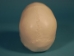 Replica Human Skull: Budget - 594-10-A20B (Y2PRB)