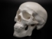 Replica Mini Human Skull - 594-10-A6 (Y2P)
