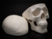 Replica Mini Human Skull - 594-10-A6 (Y2P)