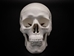 Replica Mini Human Skull - 594-10-A6 (Y2P)