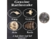 Real Rattlesnake Fang/Bone/Skin/Rattle Pack - 598-50PK (Y2JC02)