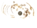 Real Rattlesnake Vertebrae and Ribs (lb) - 598-B120 (Y2LRD)