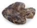 Real Rattlesnake Belt Buckle: Full Head: Assorted - 598-BB415-AS (Y1ERJ)