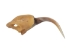Real #2 Rattlesnake Fang - 598-F2-AS (Y2DC02)