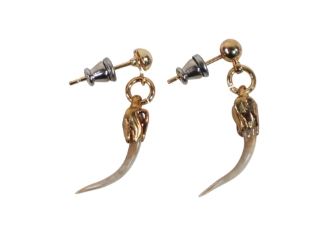 Real Rattlesnake Fang Earrings: Gold-Tone (Pair) 