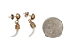 Real Rattlesnake Fang Earrings: Gold-Tone (Pair) - 598-J20-P (Y2H)