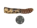 Real Rattlesnake Tail &amp; Rattle - 598-P505 (Y2L)