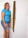Rattlesnake Skin with Rattle: 61" to 71" including rattle - 598-SKI-UN