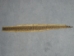 Rattlesnake Skin with Rattle: 55" to 61" including rattle - 598-SKS-UN