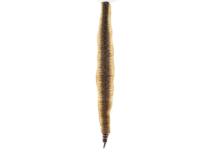 Rattlesnake Skin with Rattle: 48" to 55" including rattle 
