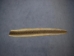 Rattlesnake Skin with No Rattle: 55" to 61" - 598-SRS-AS