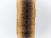 Rattlesnake Skin with No Rattle: 48" to 55" - 598-SRT-AS