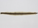 Rattlesnake Skin with No Rattle: 43" to 48" - 598-SRU-AS