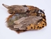 Dyed Ringneck Pheasant Skin: #2: Golden Yellow - 6-10-2-GY (L12)