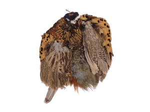 Dyed Ringneck Pheasant Skin: #2: Golden Yellow 