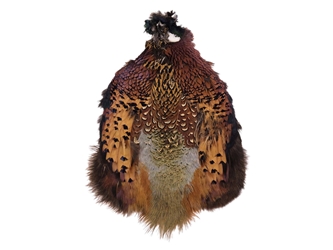 Ringneck Pheasant Skin: #2: Natural Color 