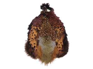 Ringneck Pheasant Skin: #2: Natural Color 